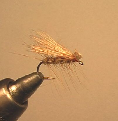 Elk Hair Caddis