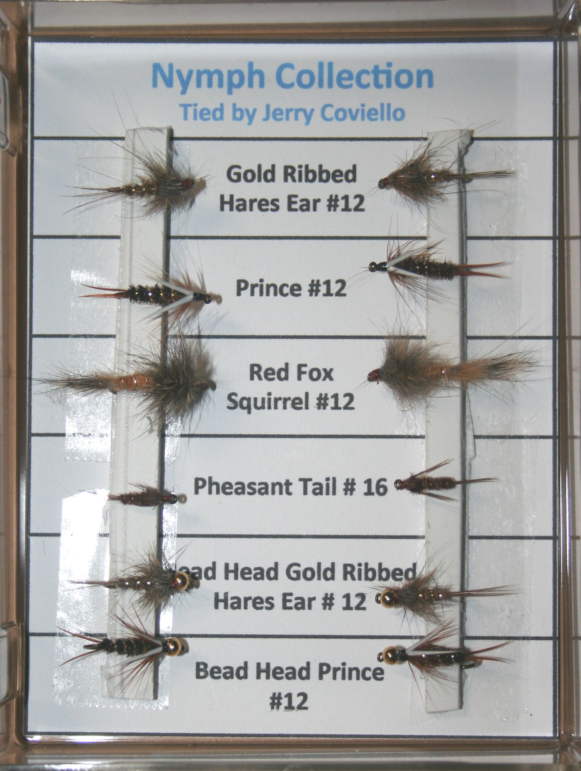Enlarged Nymph Collection