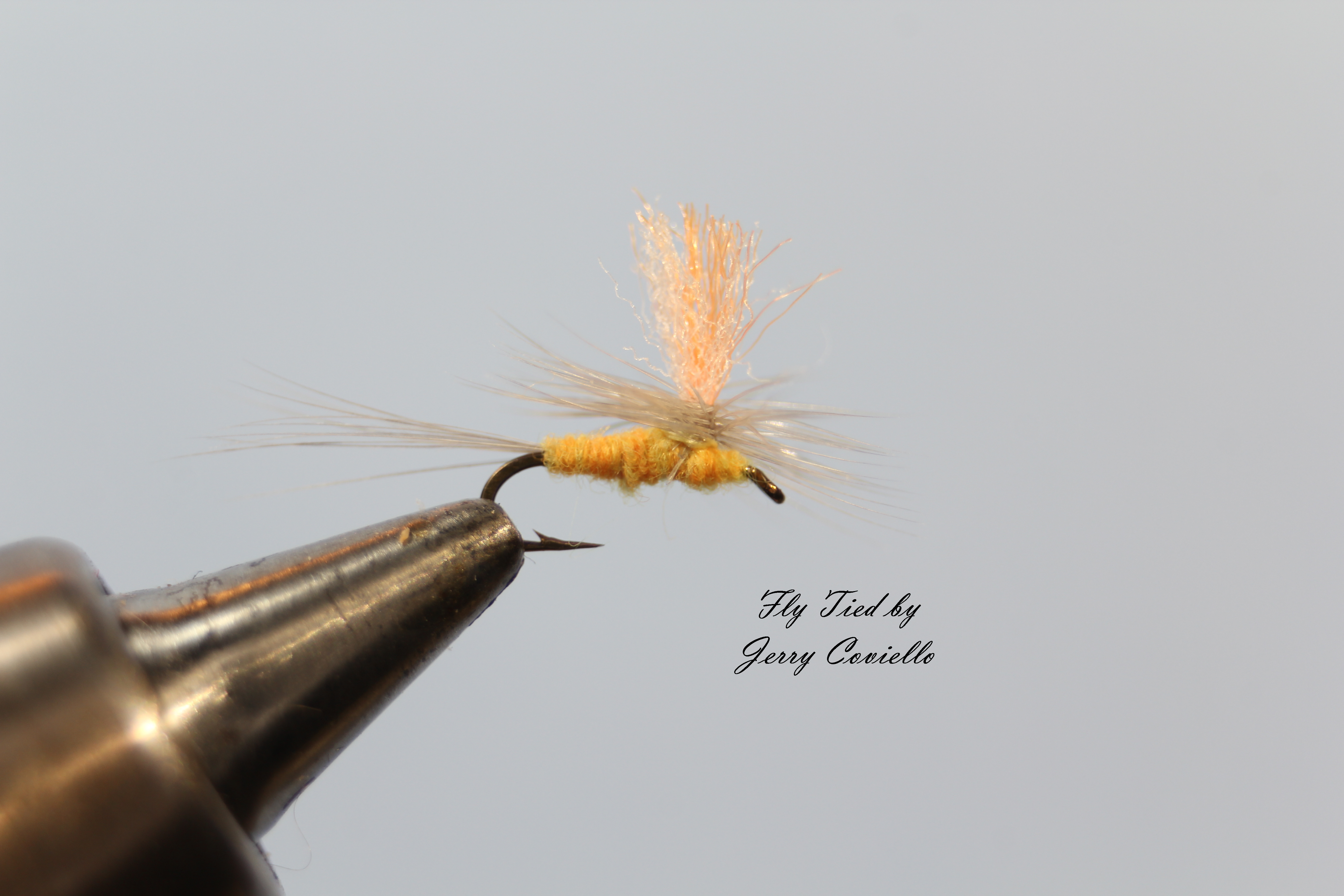 Yellow Sulphur Sparkle Dun