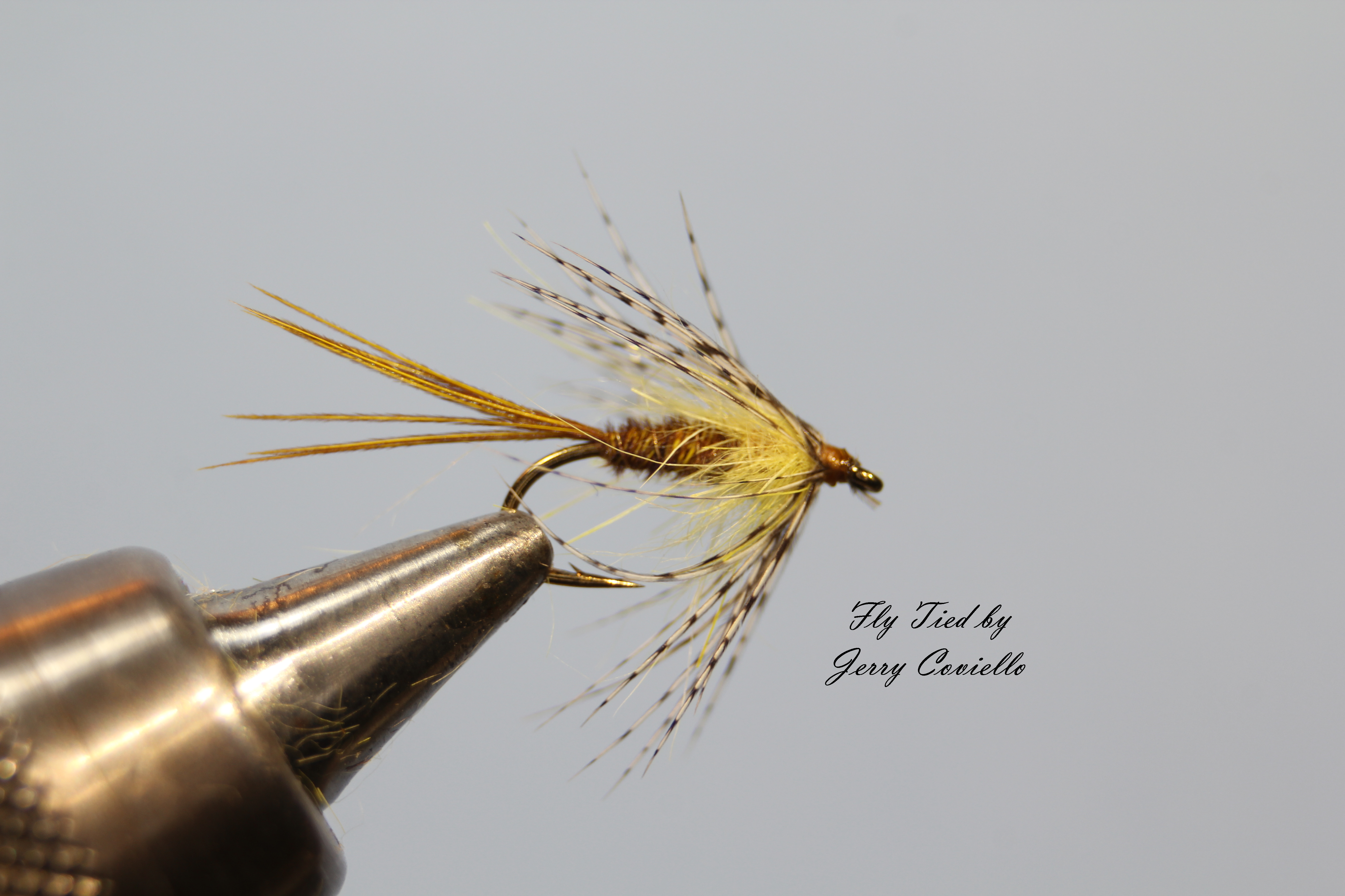 Yellow Sulphur Sparkle Dun