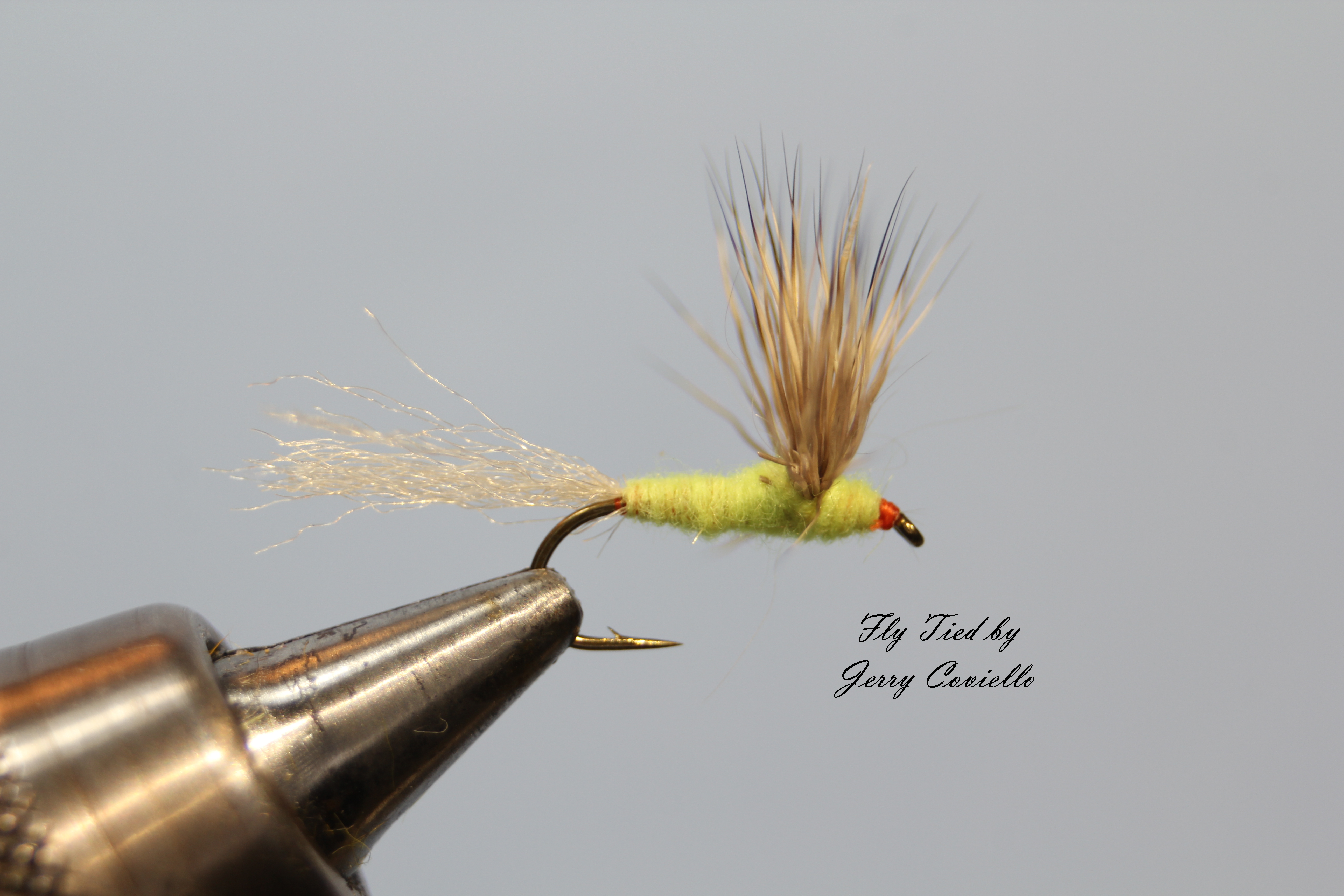 Yellow Sulphur Sparkle Dun